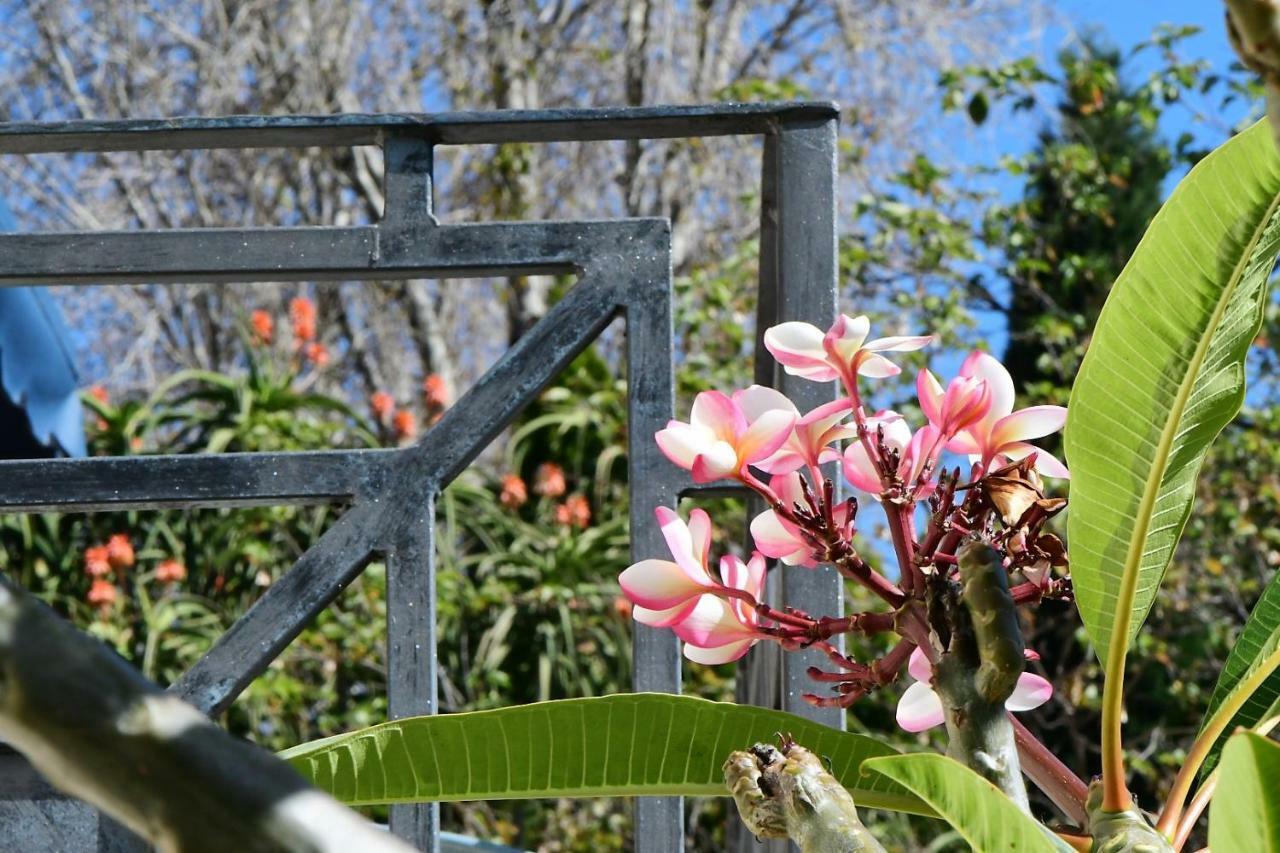 Highgrove Guesthouse Johannesburg Buitenkant foto